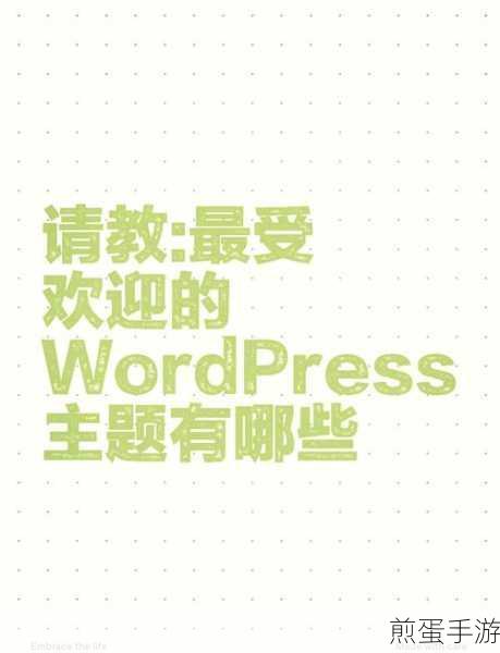探索无限创意,揭秘国外WordPress主题精选