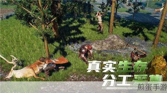 黑暗与光明如何作任务种地,成为游戏种植大师的秘诀