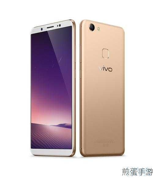 vivo Y79,2017年惊艳亮相的全面屏手机
