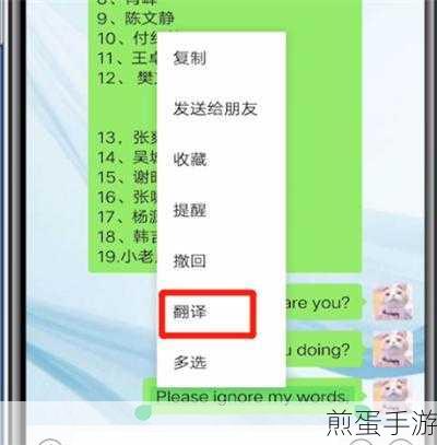 微信翻译功能在手游玩家中的妙用指南