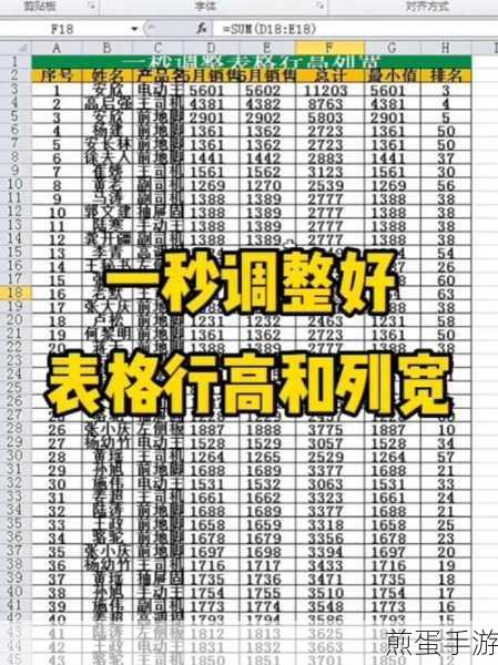Word表格调整秘籍，轻松驾驭表格大小和行高