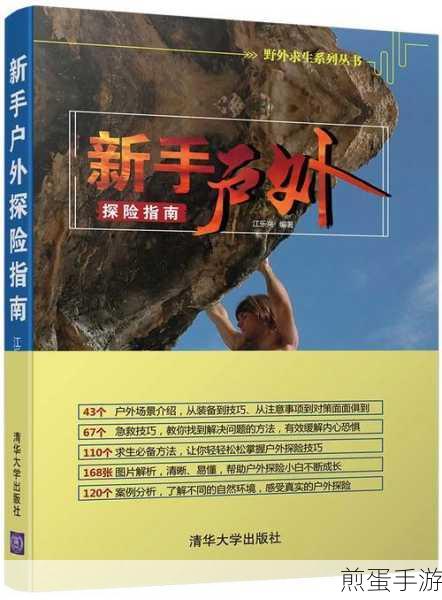 SQL语言秘籍解锁，手游开发者与玩家的数据探险指南