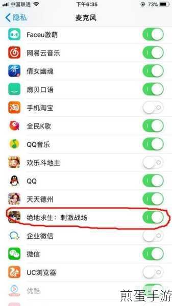 苹果手机联网设置全攻略,手游玩家必备指南