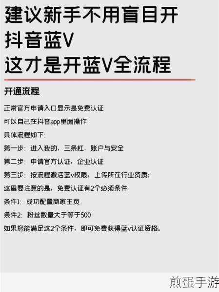 抖音蓝V认证全攻略,手游玩家如何轻松搞定