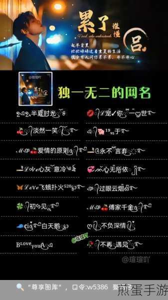 女生专属!快手昵称精选,简约气质风靡2024