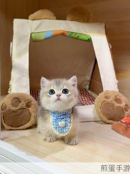 吸猫大会盛启,曼基康猫Pooh萌翻手游世界