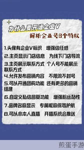 手游玩家必看,解锁抖音蓝v企业认证新攻略