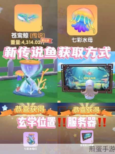 摩尔庄园 2009 年 2 月最新的全攻略,带你玩转摩尔世界