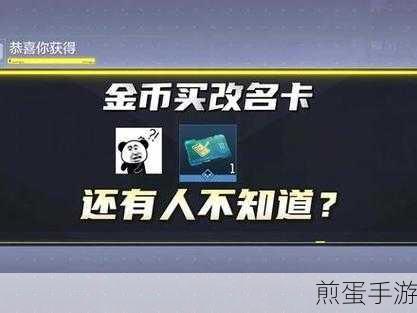 使命召唤改名卡购买指南,如何选择适合你的改名卡,掌握这些技巧让你改名无忧
