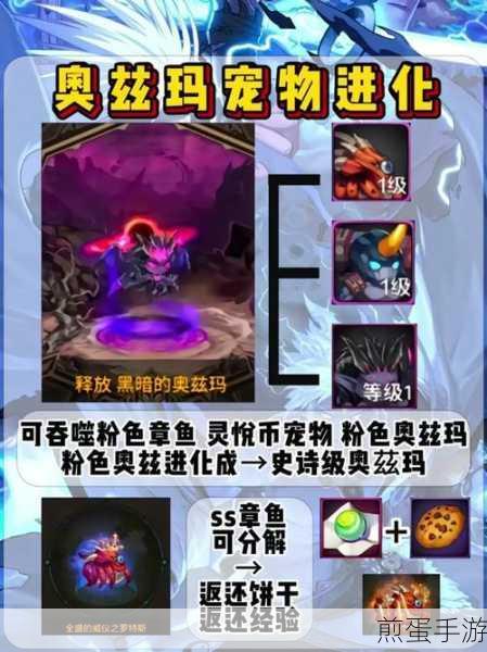 DNF财宝宠物对比分析,新版本哪个更适合你的角色与玩法?流量密码大揭秘