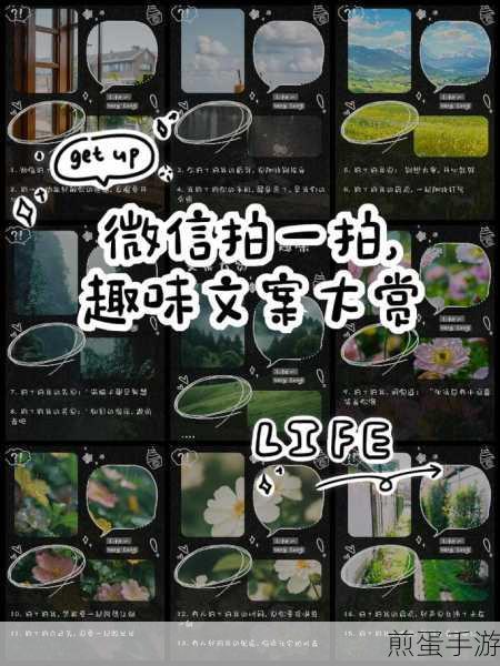 微信拍一拍新玩法,手游玩家如何自定义后缀增添乐趣