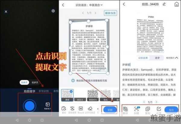 解锁新技能!手游玩家必备,截图文字提取大法