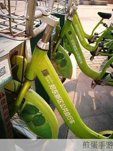 阜阳市颍州区永安行自行车收费全解析,手游玩家的绿色出行秘籍