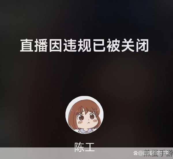 快手直播伴侣关闭评论播报,打造专属直播空间