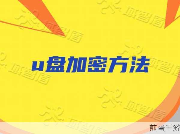 掌握加密技巧,守护手游隐私安全