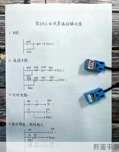 探索编程语言奥秘，程序入口文件大不同