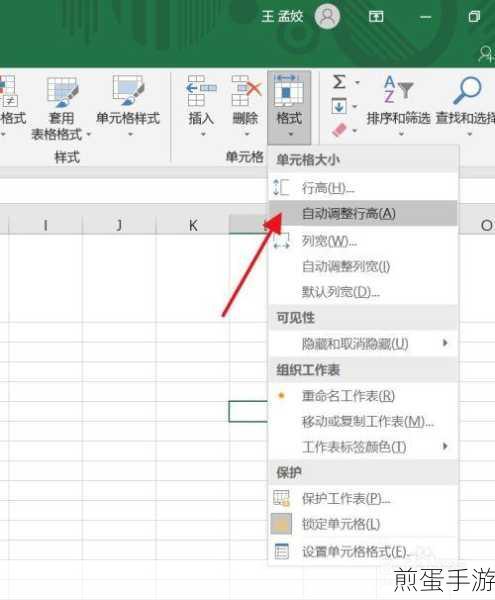 EXCEL表格行高调整难题？手游玩家也能轻松搞定！
