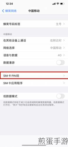 苹果PIN码设置全攻略，手游玩家必备安全锁