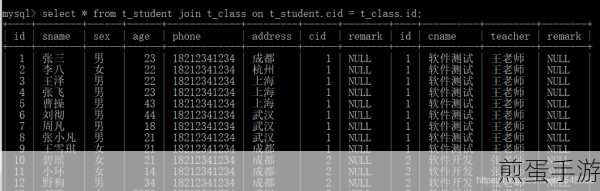 SQL2005查询秘籍，解锁手游数据新玩法