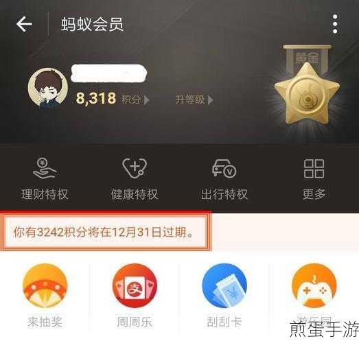支付宝转账新技巧,手游玩家如何用蚂蚁积分省手续费