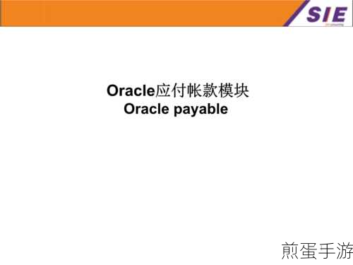 Oracle ERP调整秘籍，轻松切换客户机编码至简体中文