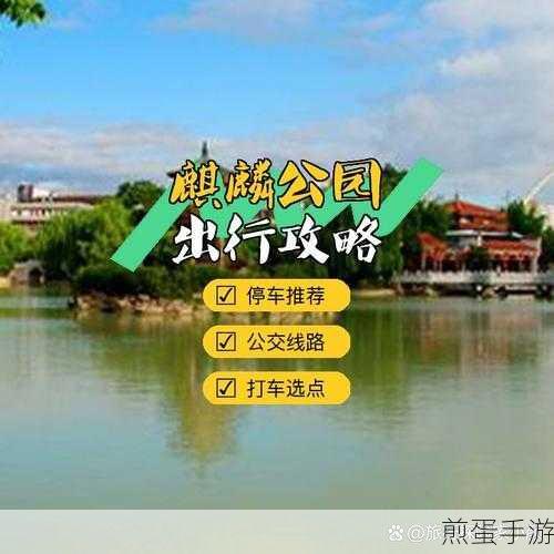 绿洲攻略秘籍,轻松掌握内容发布时间