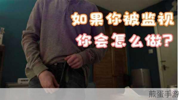 西瓜视频拉黑作者技巧全解析,打造你的纯净观影空间