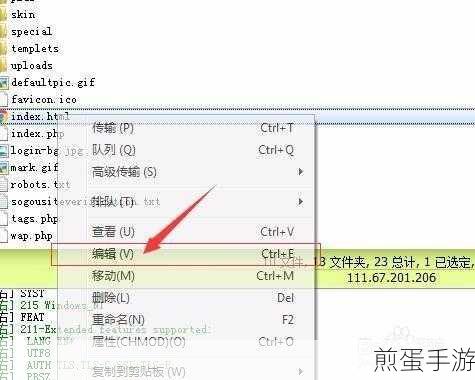 FlashFXP中文版使用教程,手游玩家的文件传输秘籍