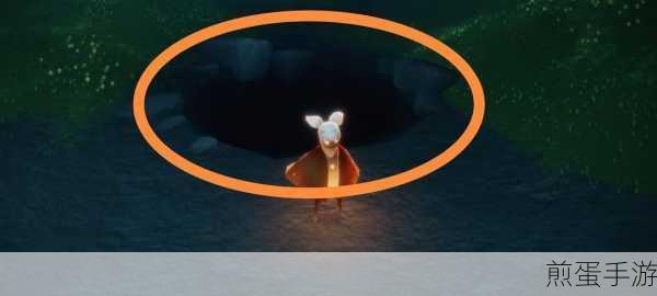 光遇小王子任务二雨林隐藏地图怎么进:探索神秘之境