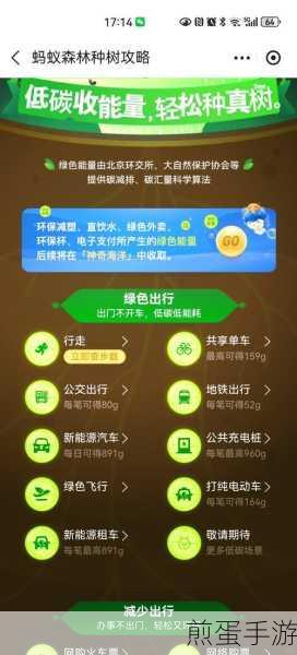 蚂蚁森林能量攻略,解锁最快获取能量的秘籍