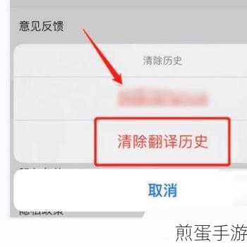 网易有道词典APP清除翻译历史全攻略