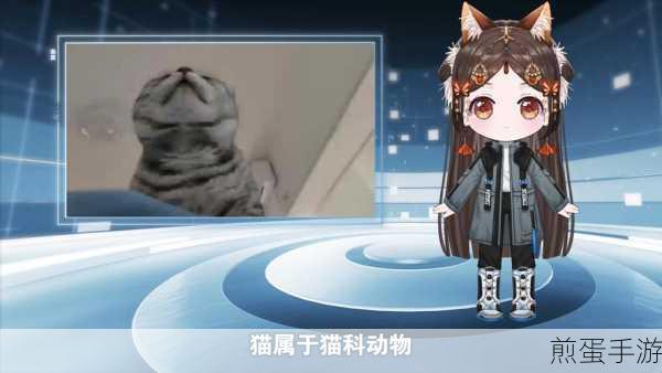 主播和猫的故事,温馨治愈的模拟养成之旅