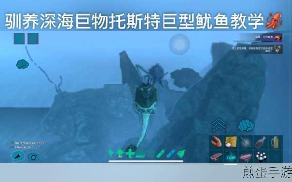 方舟生存进化中鱿鱼位置详细攻略及寻找技巧全面解析,成为游戏高手的必备秘籍