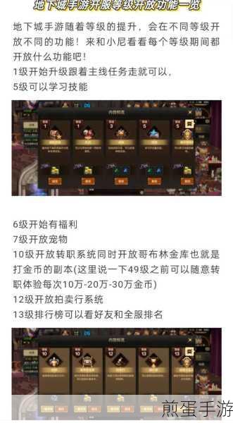 DNF手游元素师装备防具饰品从开局到毕业选择指南，成为游戏王者的必备秘籍