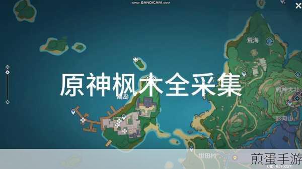 原神攻略,探寻最短路径高效砍取海量树木之法爆火出圈