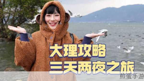 侠盗猎车手 4 资料片海鸥飞舞,全收集挑战指南,解锁隐藏秘密,极限探索之旅,成为游戏大神的必备秘籍