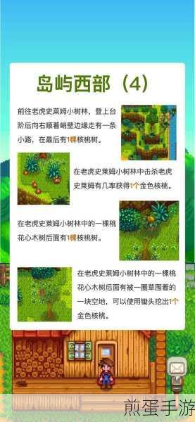 星露谷物语姜岛金核桃寻找攻略汇总姜岛寻找金核桃方法介绍,带你玩转姜岛金核桃探索之旅