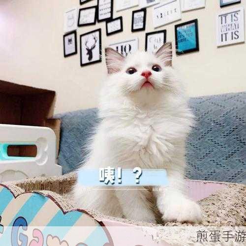 布偶科学实验,沙盒策略新体验,趣味无限下载中