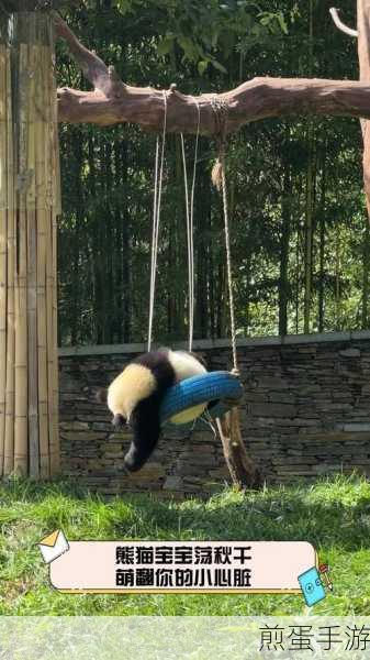 萌翻天的熊猫爬杆挑战,休闲时光的不二之选!