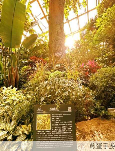 清新口袋植物园,休闲放置新体验等你来探索