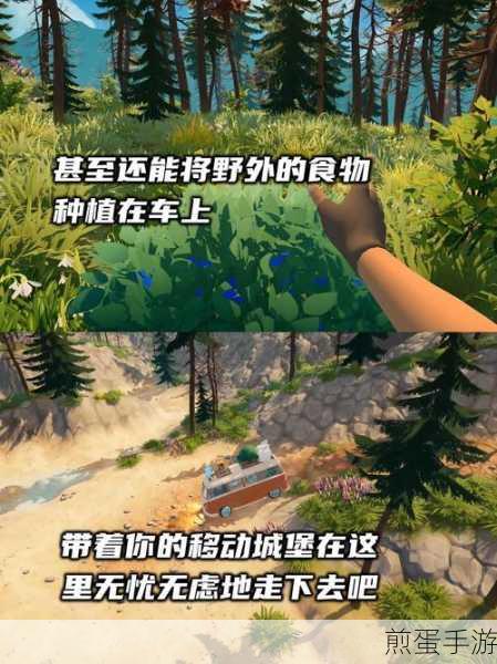 乡村风情驾驶之旅，探索小汽车驾驶手游新乐趣