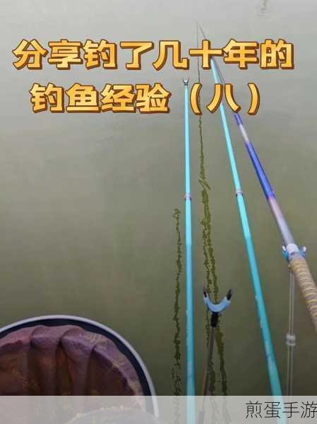 小森生活钓鱼经验怎么提升快速提升经验方法,掌握这些技巧,让你成为钓鱼达人
