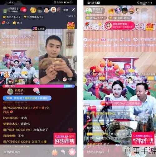 西瓜视频怎么开通直播,成为热门主播的必备指南