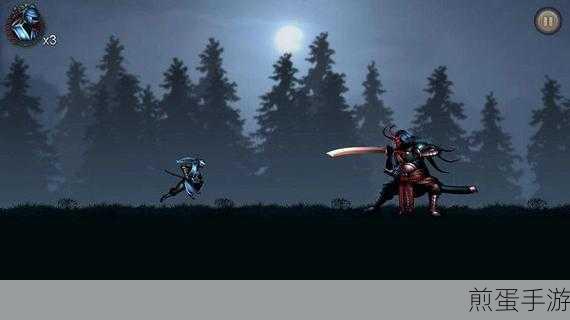忍者武士隆，无限资源版热血来袭，3D格斗冒险新体验