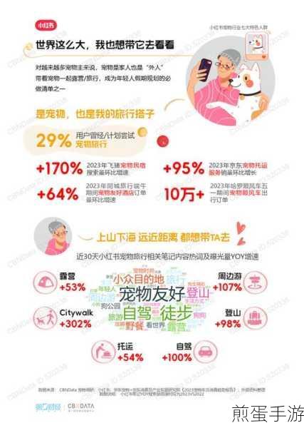 小红书宠物小伙伴怎么领养,掌握这些技巧轻松拥有萌宠伙伴