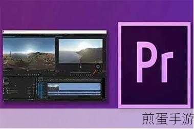 PRprocc2018与PRcc2018有什么区别,软件版本差异大揭秘