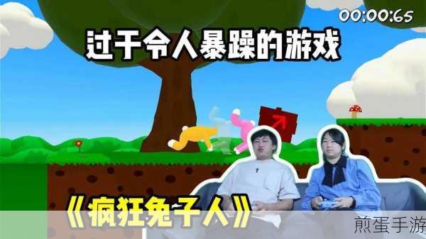 疯狂兔子人双人联机，魔性闯关，欢乐无限下载指南