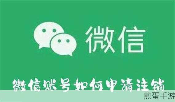 知乎软件怎么注销账号-账号注销教程，掌握这几招，轻松注销知乎账号