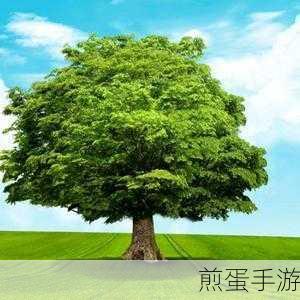 喜欢用树做头像的人有什么心理,探索其背后的深层含义