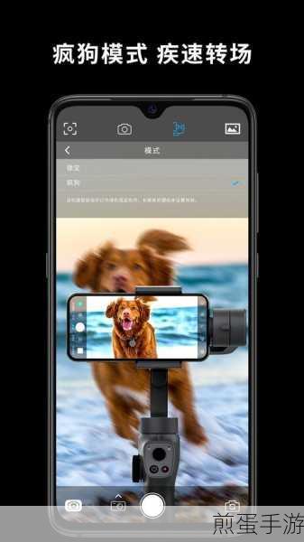 一甜相机画笔在哪里，探索热门拍照软件的神秘工具